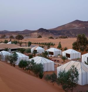 Untitled Design (9)